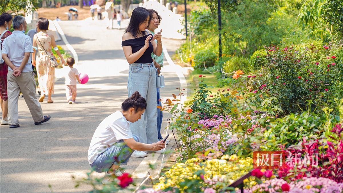 免费领彩金网站